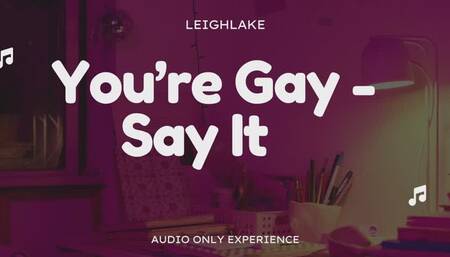 You're Gay, Say It! - Audio Only with LeighLake