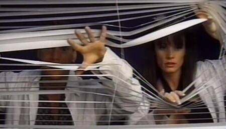 Fucking of the Dildo's.