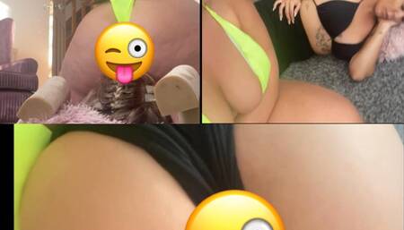 tiger girl dominates male jobber