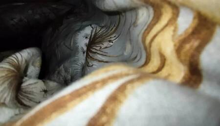 woke her up and come inside her warm tight pussy