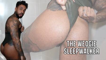 The Wedgie Sleepwalker - Lalo Cortez