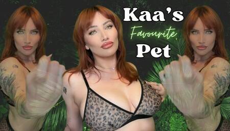 Kaa's Favorite Pet - The Selection