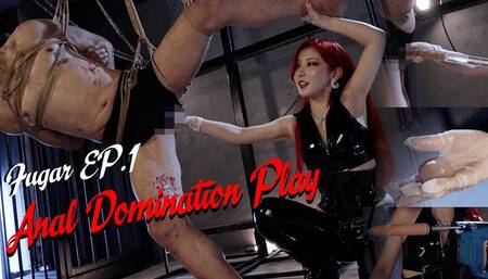 Anal Domination Play