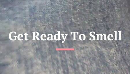 Fart Feast Compilation