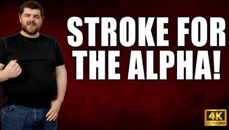 KingMarti: Stroke For The Alpha - Cum Countdown - 4k UHD