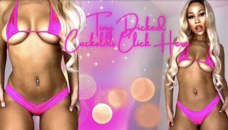 Tiny Dicked Cuckolds CLICK HERE