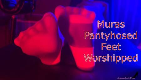 Mura Suru’s Pantyhose Feet Worshiped - Nylon Foot Worship
