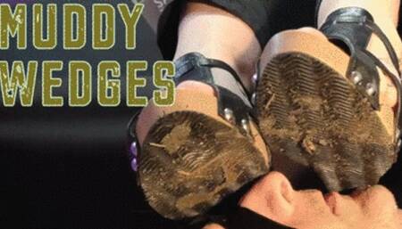 CC - Muddy wedges