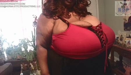 GIFT FROM KEITH TO NORMA STITZ