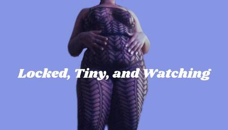 Locked, Tiny, and Watching