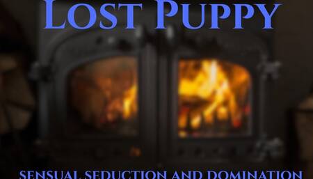 Lost Puppy (Good Boy Version)