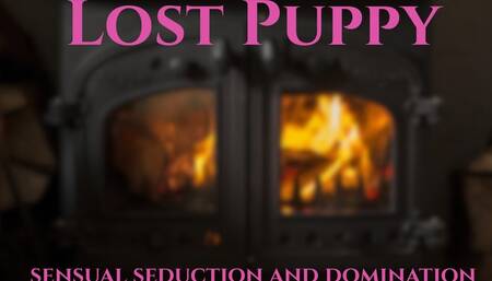 Lost Puppy (Good Girl Version)