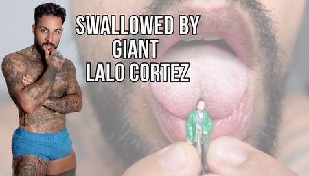 Swallowed by Giant - Lalo Cortez