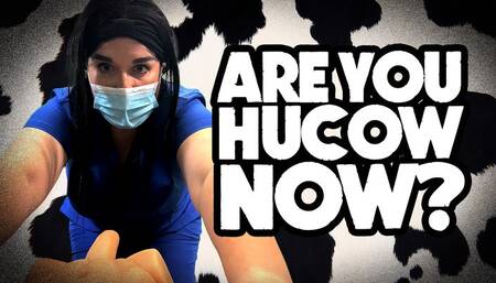 DAY 30 EGG ULTRASOUND – Mocking of Lactation Pregnancy for My Pathetic Tiny-Dicked Hubby