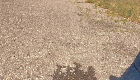 Piss Roadtrip 6