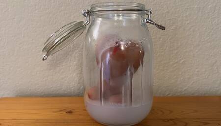 Submerging Mini Girl Onahole in Cum Jar [size difference, sex toys, mini girl, aquaphile]