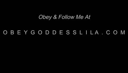 Multi Credit Card Compliance Training