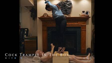 Cock Trample In The Box
