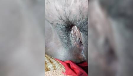 With Manas's Steppapa