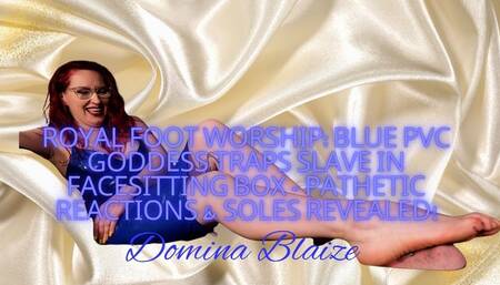 ROYAL FOOT WORSHIP: Blue PVC Goddess Traps Slave in Facesitting Box - Pathetic Reactions & Soles Revealed! audio