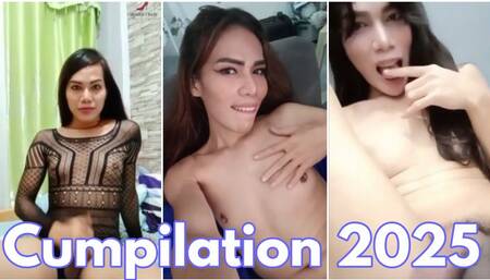 Ts Camalot Cindy And  Friends