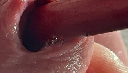 Satisfying Cock From the Inside