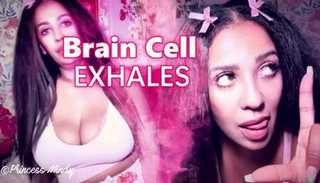 EYES AND BRAINCELL EXHALES