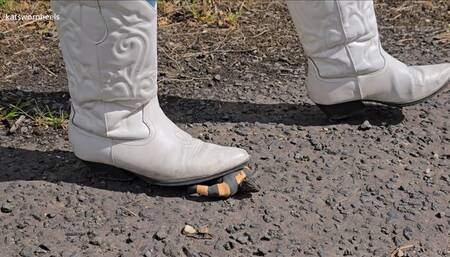 Little Men Get Crushed and Walked all Over in my Sexy Cowboy Boots