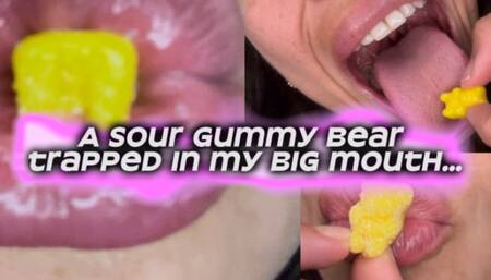 sweet temptation gummy bear