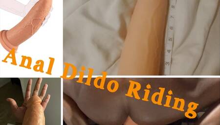 Anal Dildo Riding – Oiled Prostate Pounding