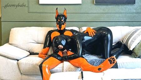 What if... pups owned humans? - Alex Latex