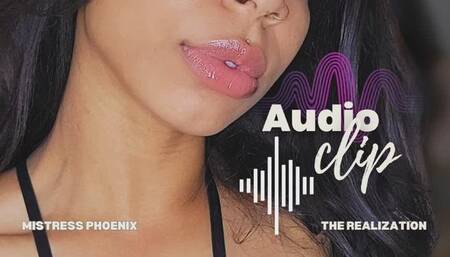 Wasted Potential: Your Realization *Audio Only*