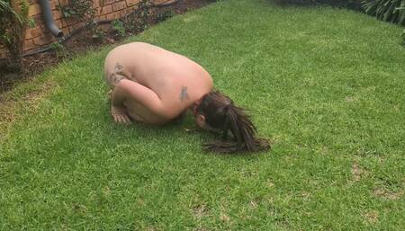 Humiliating myself by acting like a dog, doing tricks as well as peeing like one in the garden