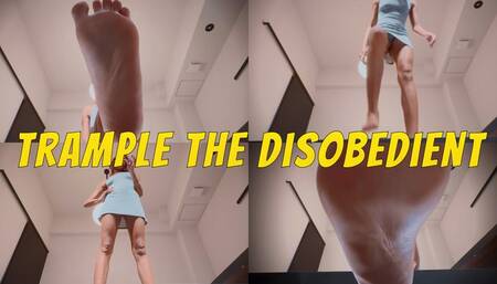 Trample The Disobedient- Ebony Goddess Rosie Reed Foot Fetish Giantess POV Domination- standard definition