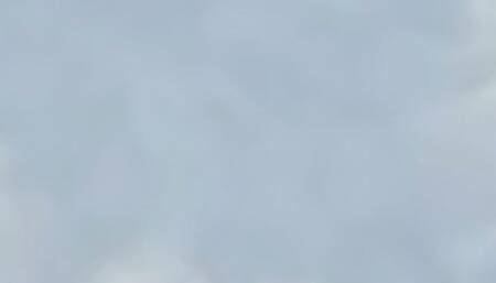 POV Clip for Gigantic Jay 2