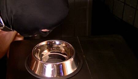 Cum Shot in Bowl (mp4)