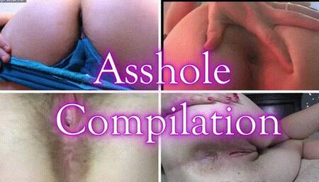 Asshole Compile wmv