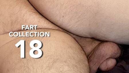 Pissing & Fart Collection 18 - Dads Everyday Farts and Pees