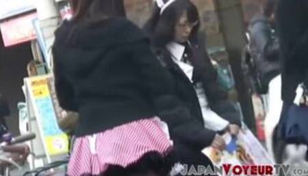 Pretty Japanese ladies compete for the attention of the