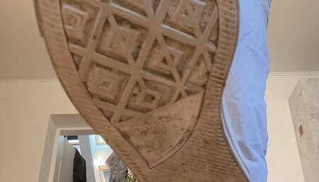 You pathetic tiny bug! Can’t believe you’re my offspring