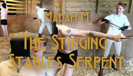 The Stinging Stables Serpent, brutal snake whip single-tail whipping extreme punishment