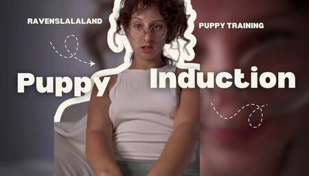 puppy training: crawl. bark. obey.