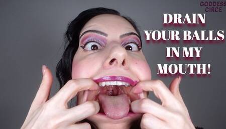 DRAIN YOUR BALLS IN MY MOUTH! (Video request)
