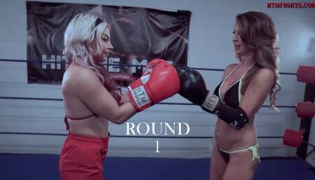 Hollywood vs Scarlet Web Boxing