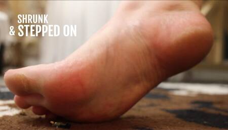 SHRUNK AND STEPPED ON
