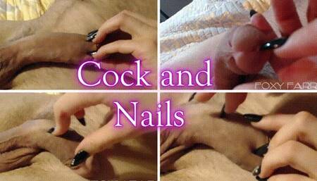 Cock and Nails 480