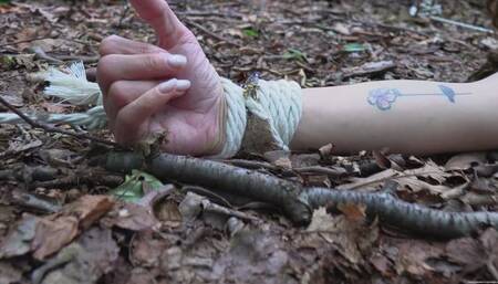 Never Give Up (4K) - Alba Zevon