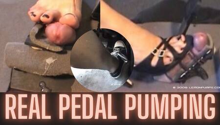 GPFJ Start For Me Good Boy!