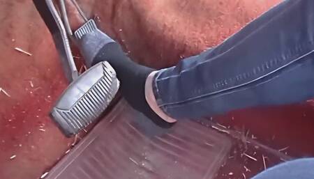 Black ankle socks REMASTERED