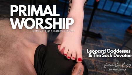 Primal Worship: Leopard Goddesses & The Sock Devotee